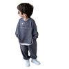 The 2024 new Autumn set for Boys, a stylish and cool spring and autumn loose baby boy hoodie two-piece set Item Picture